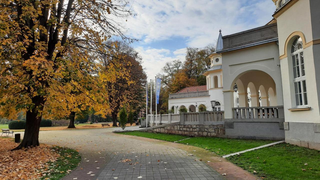 Apartman Mila, Banja Koviljača Eksteriør bilde